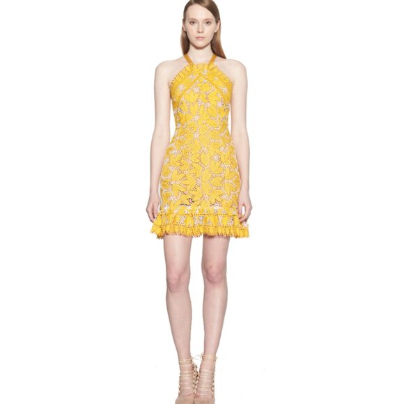 aijek Marianna Lace Embroidered Halter Dress - Picture 1 of 9